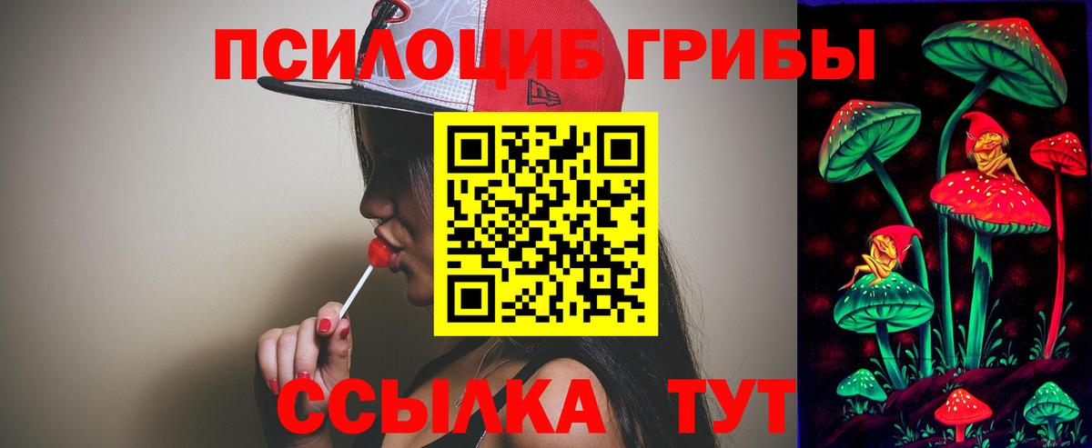 Псилоцибиновые грибы Psilocybe Новороссийск